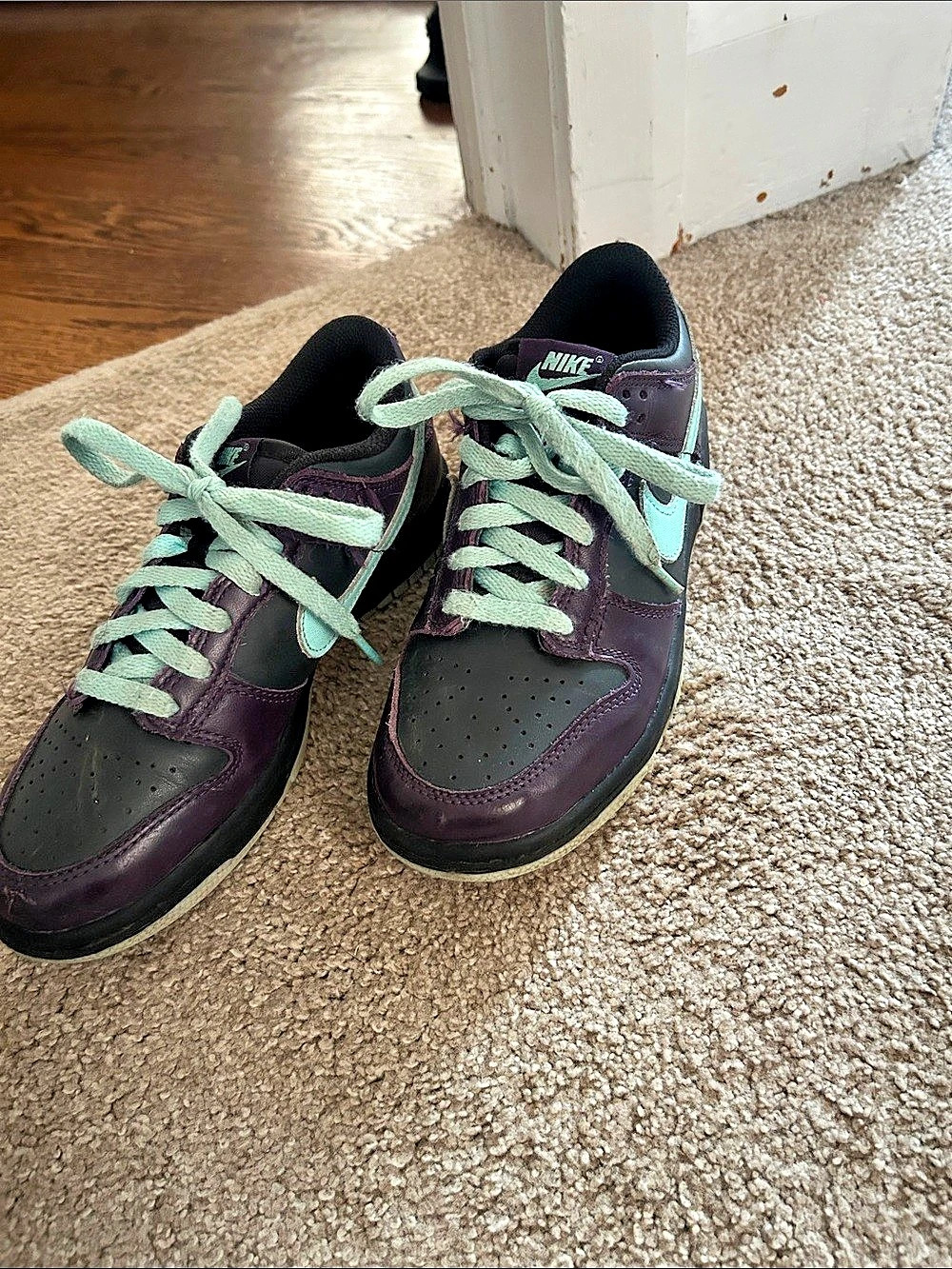 Nike Dunk Low SP Plum Purple & Black Sneakers